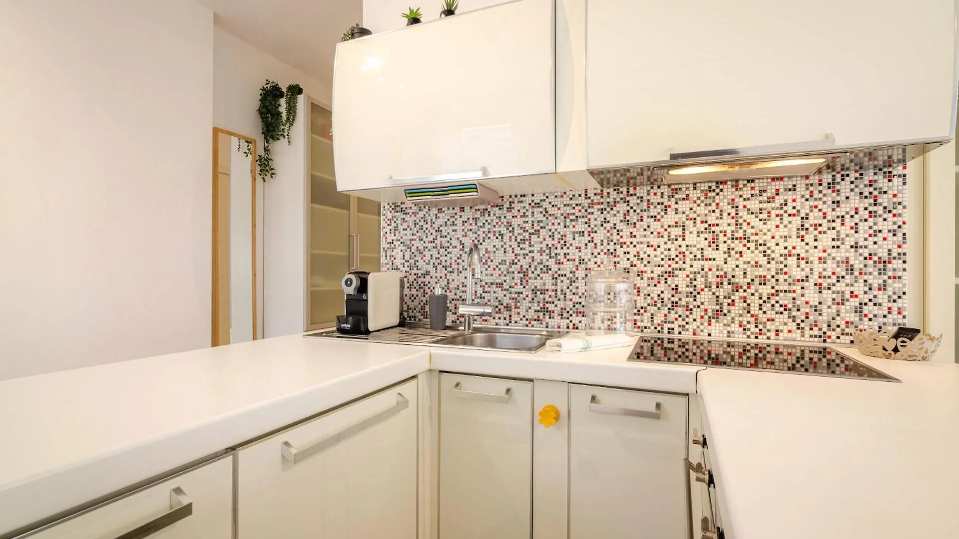 Large And Bright Studio In The Heart Of Bolonia Apartament